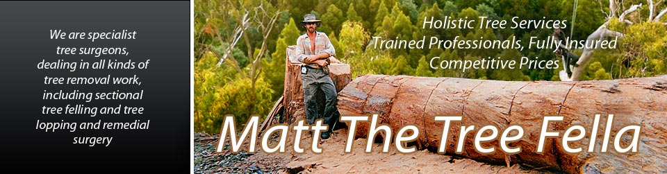 Matt The Tree Fella : Arborist and Tree Removal Services